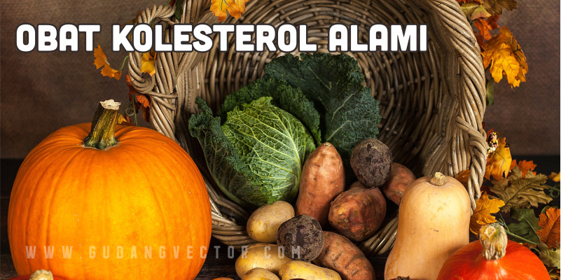 obat kolesterol alami